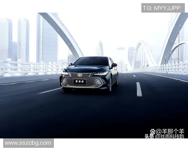 重庆篮球队在洲际杯积分榜上以56分稳居第一名展现强劲实力