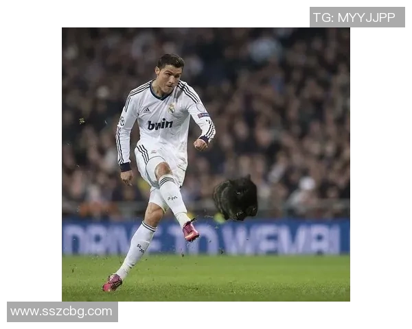 黑猫足球明星名字大全及其成就分析与职业生涯回顾