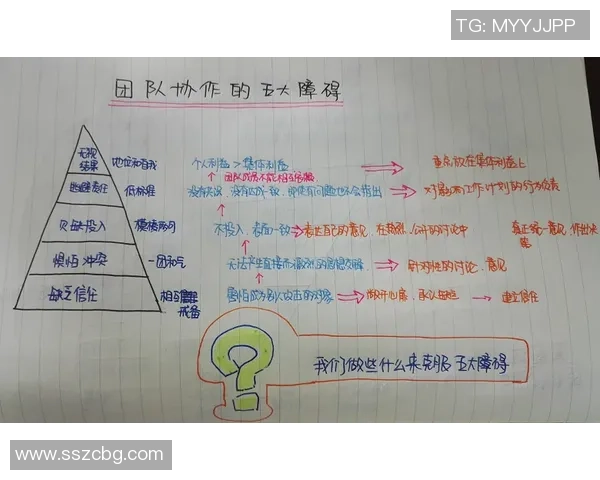 上海排球队的团队协作之道:凝聚力与默契的完美结合 上海排球队的团队协作之道:凝聚力与默契的完美结合