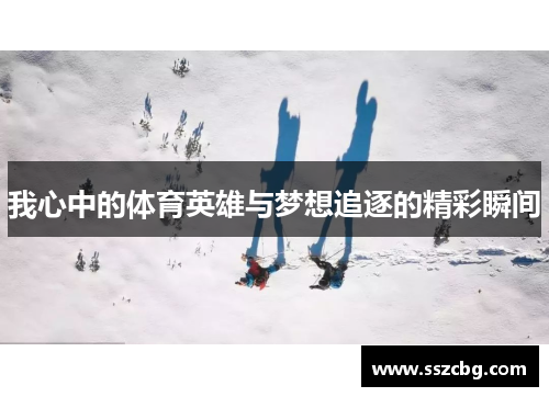 我心中的体育英雄与梦想追逐的精彩瞬间