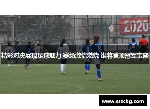 精彩对决展现足球魅力 赛场激情燃烧 谁将登顶冠军宝座