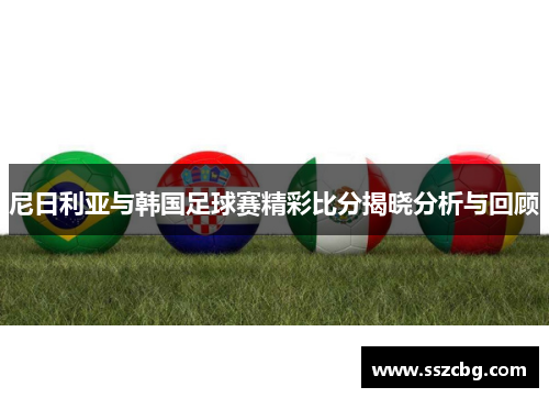 尼日利亚与韩国足球赛精彩比分揭晓分析与回顾